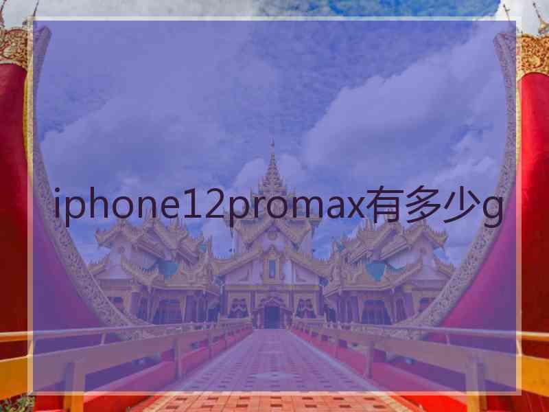 iphone12promax有多少g