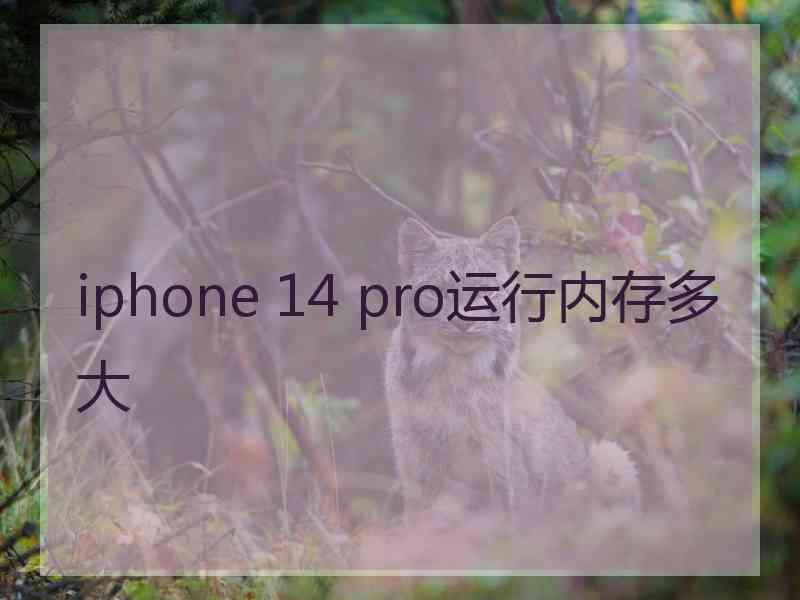 iphone 14 pro运行内存多大