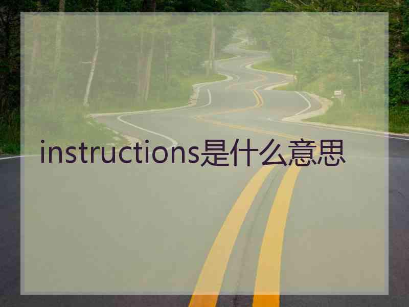 instructions是什么意思