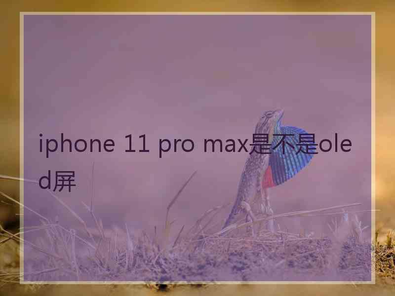 iphone 11 pro max是不是oled屏