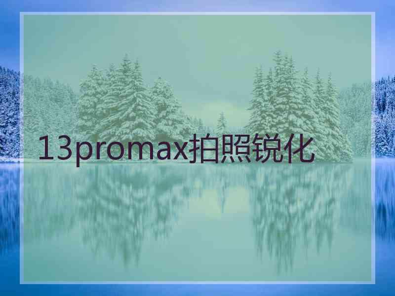 13promax拍照锐化