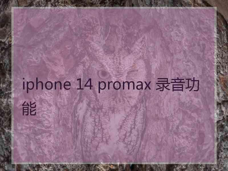 iphone 14 promax 录音功能