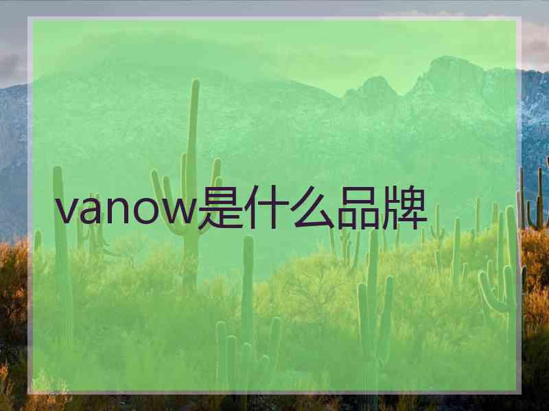 vanow是什么品牌