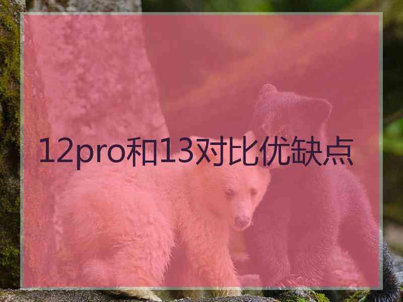 12pro和13对比优缺点