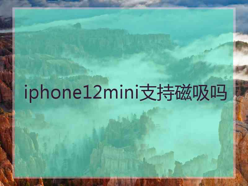 iphone12mini支持磁吸吗