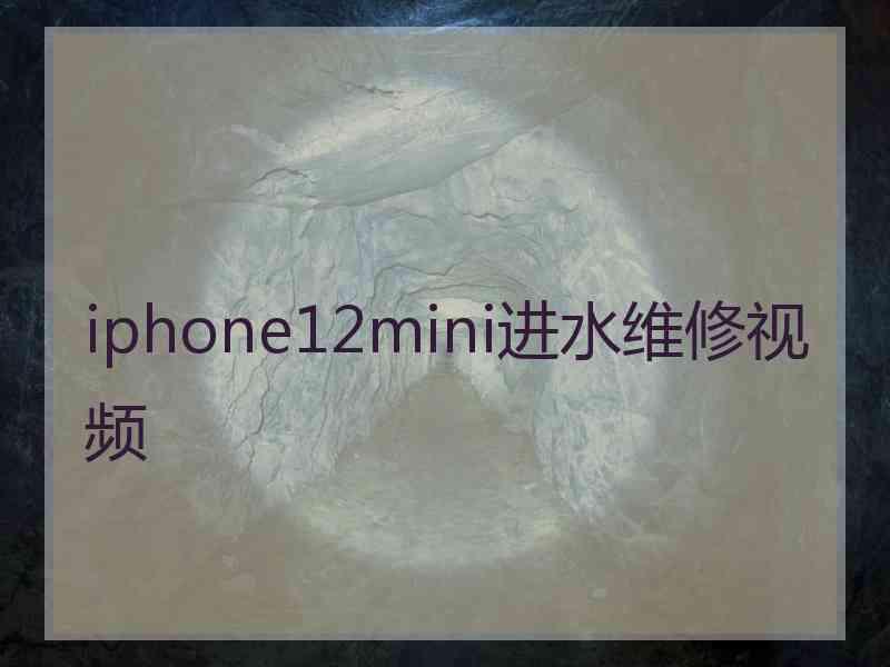 iphone12mini进水维修视频