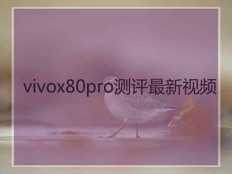 vivox80pro测评最新视频