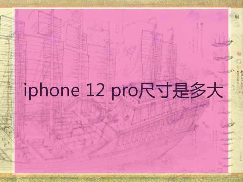 iphone 12 pro尺寸是多大