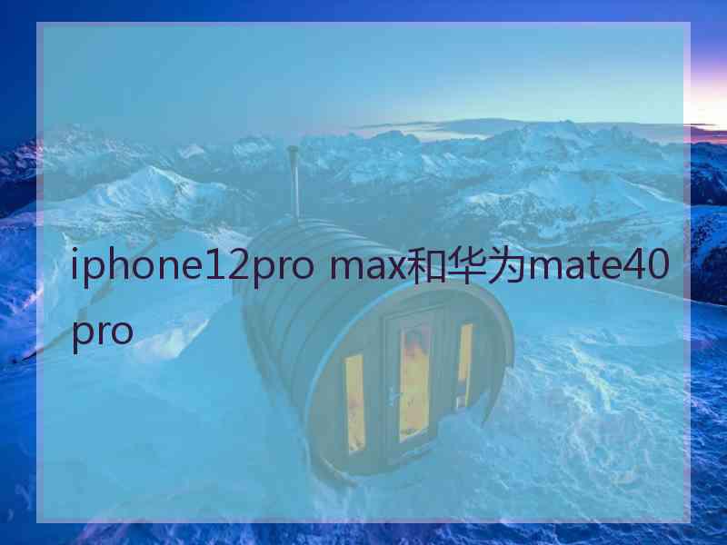 iphone12pro max和华为mate40pro