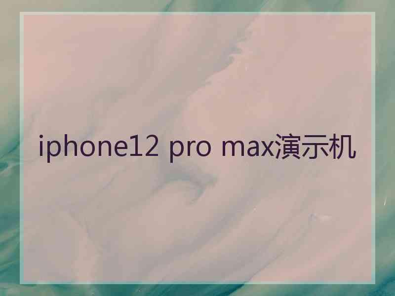 iphone12 pro max演示机