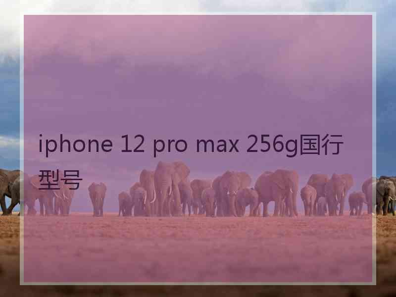 iphone 12 pro max 256g国行型号