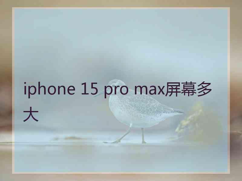 iphone 15 pro max屏幕多大