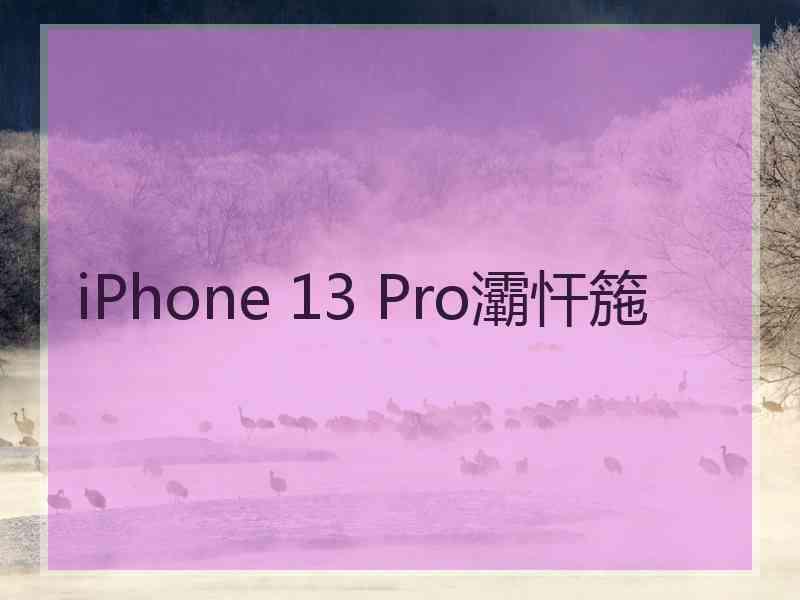 iPhone 13 Pro灞忓箷