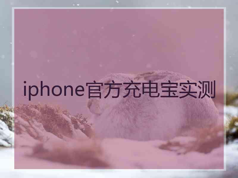 iphone官方充电宝实测