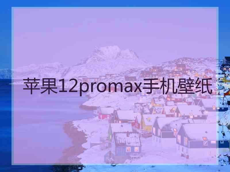 苹果12promax手机壁纸