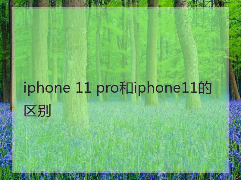 iphone 11 pro和iphone11的区别