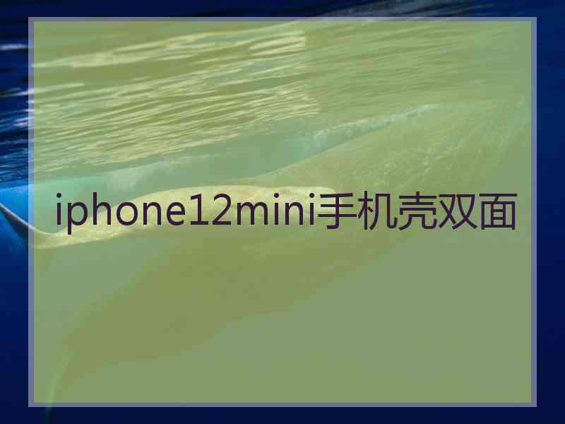 iphone12mini手机壳双面