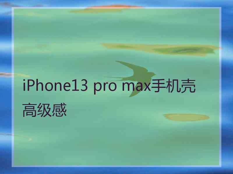 iPhone13 pro max手机壳高级感