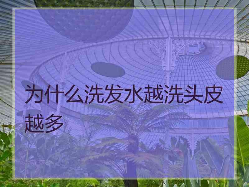 为什么洗发水越洗头皮越多