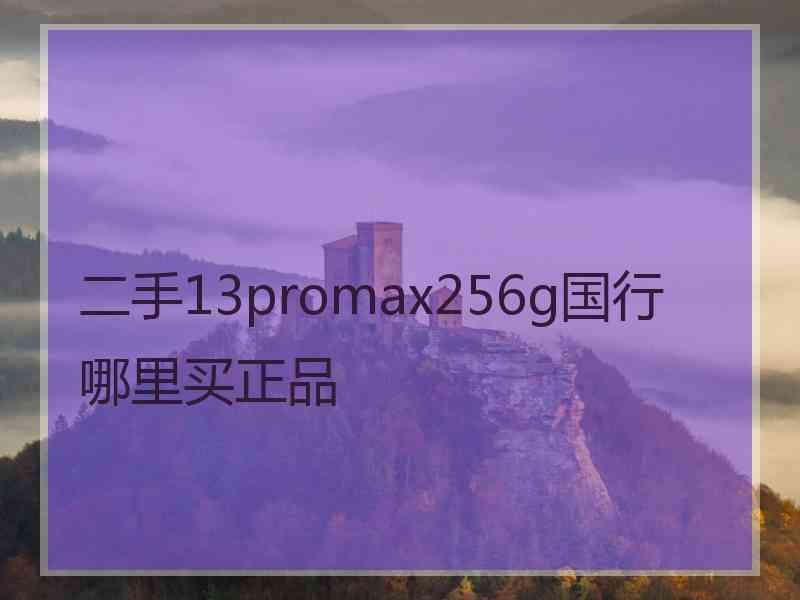 二手13promax256g国行哪里买正品