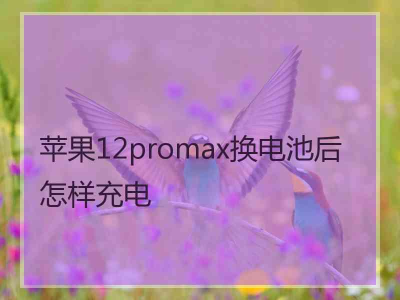 苹果12promax换电池后怎样充电