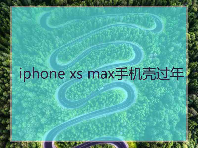 iphone xs max手机壳过年