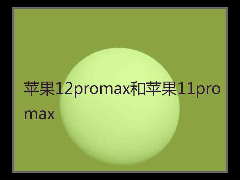 苹果12promax和苹果11promax