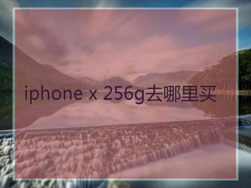 iphone x 256g去哪里买