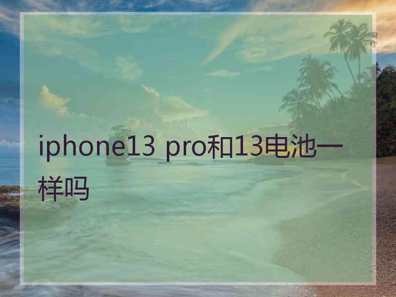 iphone13 pro和13电池一样吗