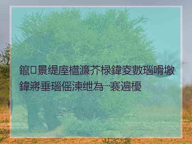 鑹景缇庢櫙濂芥椂鍏夌數瑙嗗墽鍏嶈垂瑙傜湅绁為┈褰遍櫌