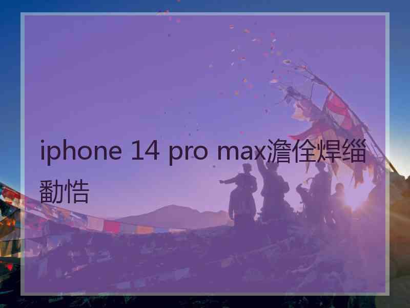 iphone 14 pro max澹佺焊缁勫悎