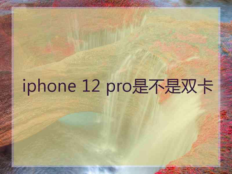 iphone 12 pro是不是双卡