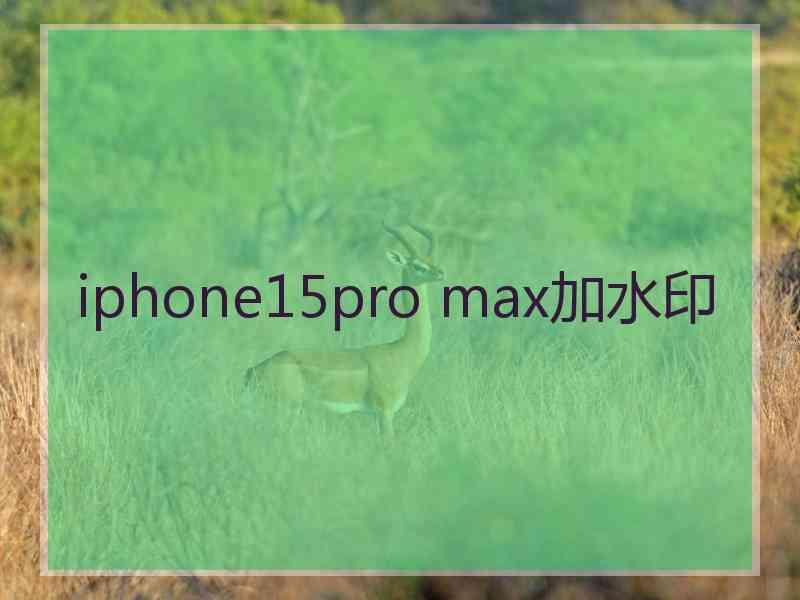 iphone15pro max加水印