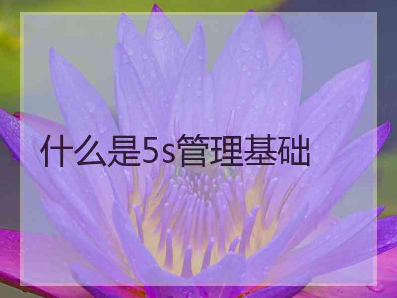 什么是5s管理基础