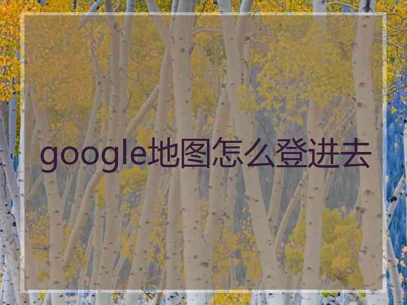 google地图怎么登进去