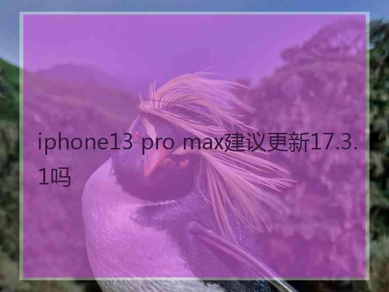 iphone13 pro max建议更新17.3.1吗