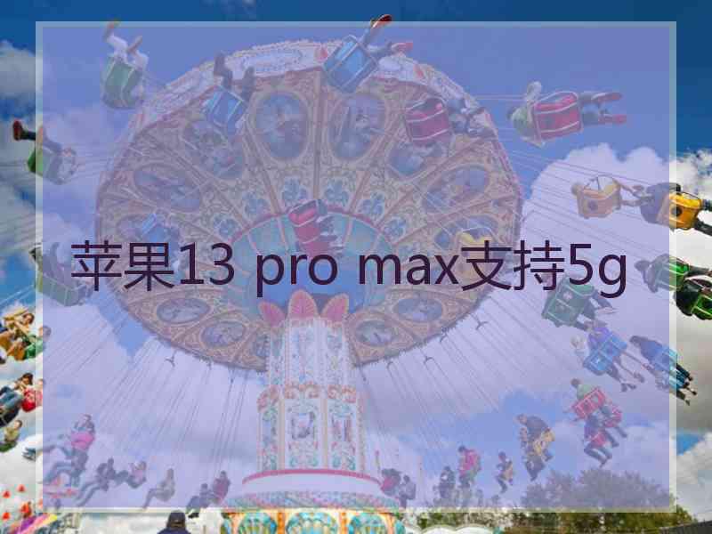 苹果13 pro max支持5g