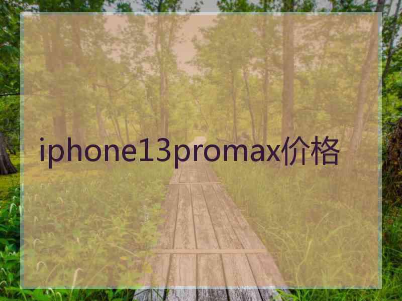 iphone13promax价格