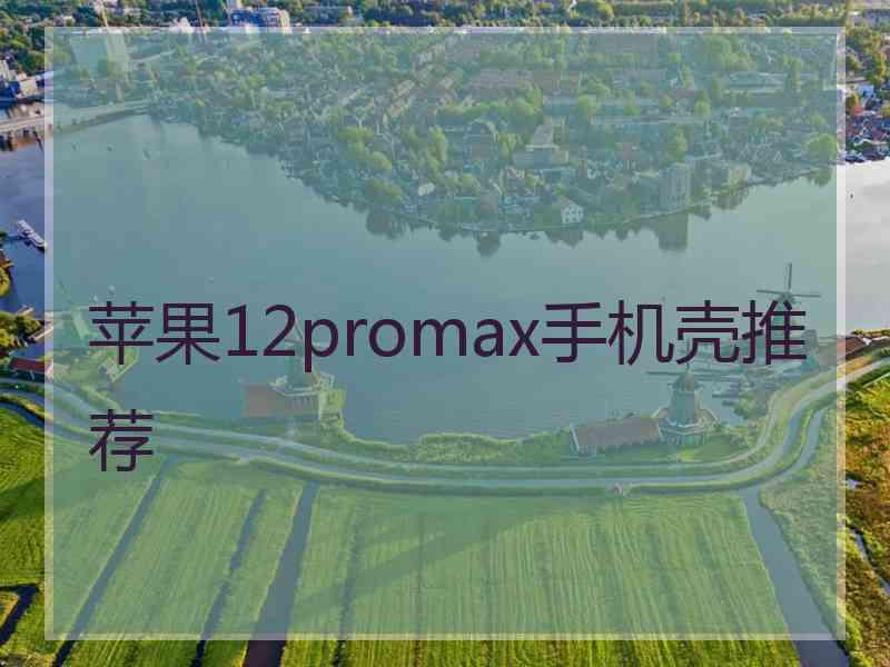 苹果12promax手机壳推荐