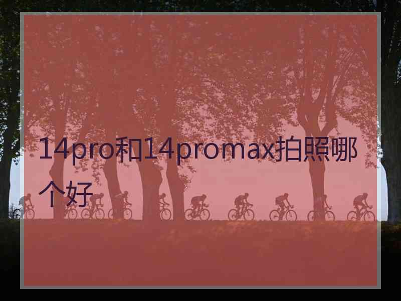 14pro和14promax拍照哪个好