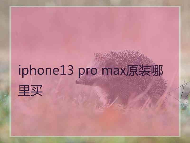 iphone13 pro max原装哪里买