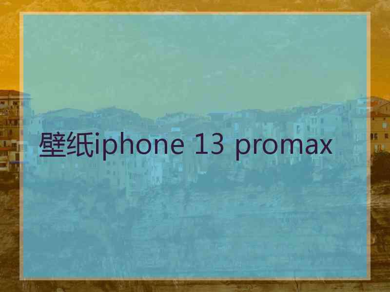 壁纸iphone 13 promax