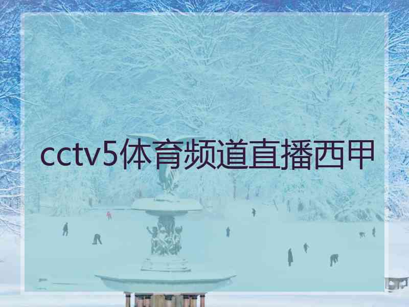 cctv5体育频道直播西甲