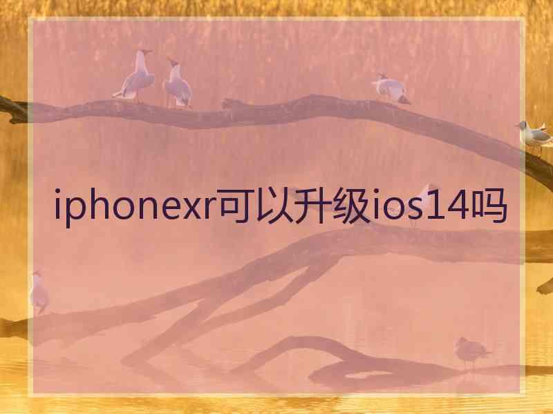 iphonexr可以升级ios14吗