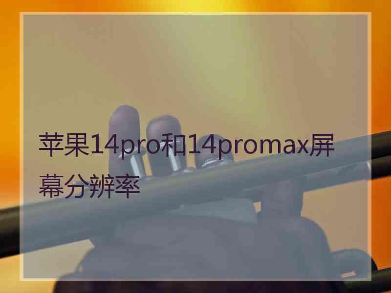 苹果14pro和14promax屏幕分辨率