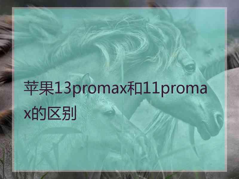 苹果13promax和11promax的区别