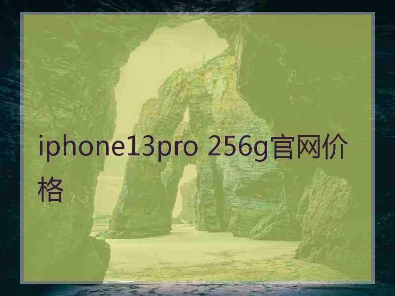 iphone13pro 256g官网价格