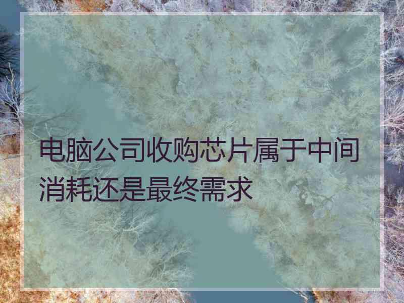 电脑公司收购芯片属于中间消耗还是最终需求