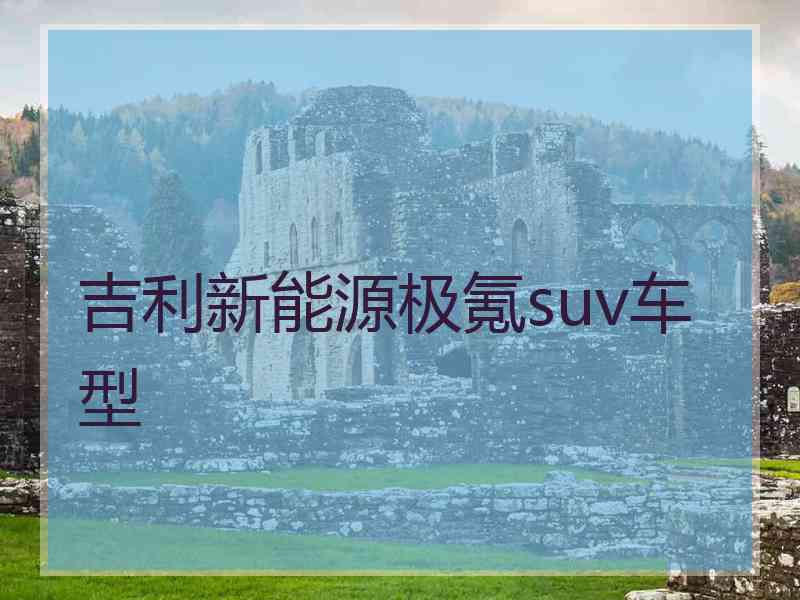 吉利新能源极氪suv车型