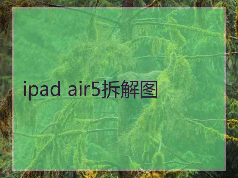 ipad air5拆解图